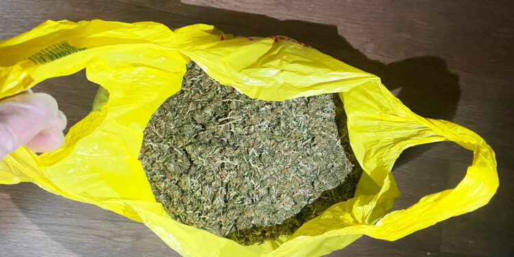 На Миколаївщині 4 “агрономів” організували конопельний “колгосп” повного циклу (ФОТО)