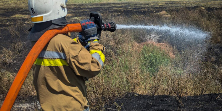 Протягом доби на Миколаївщині ліквідували 18 пожеж – що гасили (ФОТО)