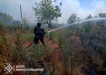 На Миколаївщині минулої доби рятувальники 17 разів виїжджали на гасіння пожеж (ФОТО)