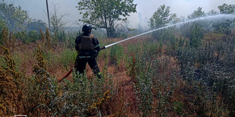 На Миколаївщині минулої доби рятувальники 17 разів виїжджали на гасіння пожеж (ФОТО)