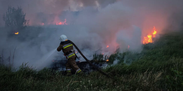 На Миколаївщині минулої доби було 48 пожеж – переважно горіло в екосистемах і поля з зерновими (ФОТО)