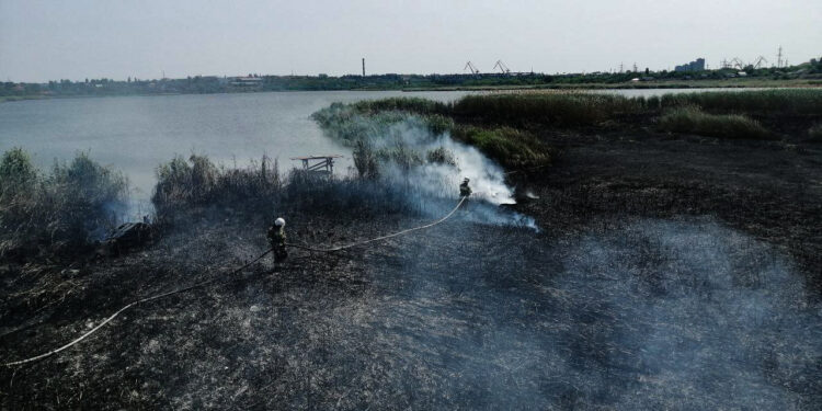 Сильно горить очерет у Ракетному урочищі Миколаєва (ФОТО)