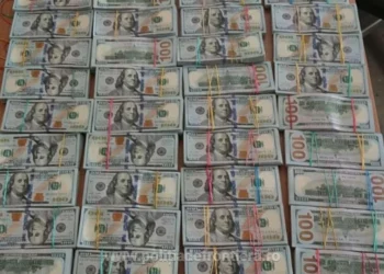 Пара українців намагалася пронести до Румунії $1,4 мільйона: куди сховали гроші (ВIДЕО)