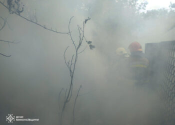 Протягом доби на Миколаївщині спалахнуло 27 пожеж – що горіло (ФОТО)