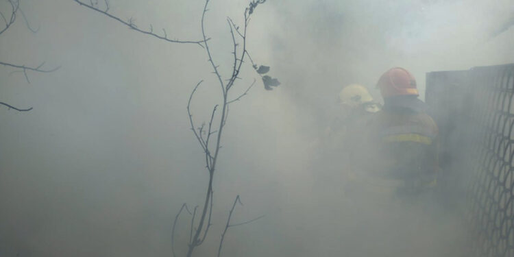 Протягом доби на Миколаївщині спалахнуло 27 пожеж – що горіло (ФОТО)