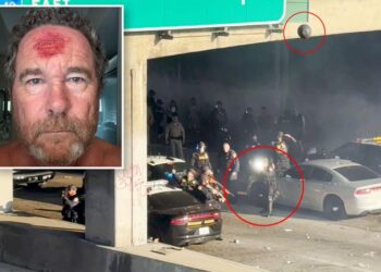 На протестах у Лос-Анджелесі журналісту поцілили в голову гумовою кулею (ВІДЕО)