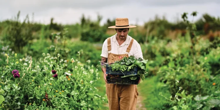 Індульгенція для лінивих дачників. Все поросло бур’яном? Не переймайтеся, ви в тренді