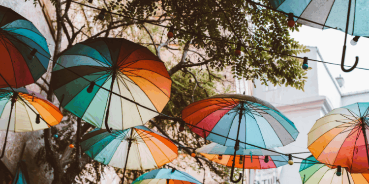 Нас чекають теплі вихідні з сюрпризами: сонце, дощ і трохи вологи