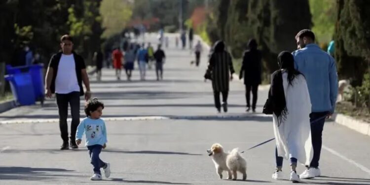 У Ірані забороняють вигул і перевезення у своїх авто собак – бо вони “нечисті”
