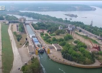 На місці Каховського водосховища відновлюється Великий Луг і росте дивний ліс. Що там буде далі (ВІДЕО)