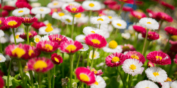 Теплі вихідні без зайвої спеки: час для приємного відпочинку