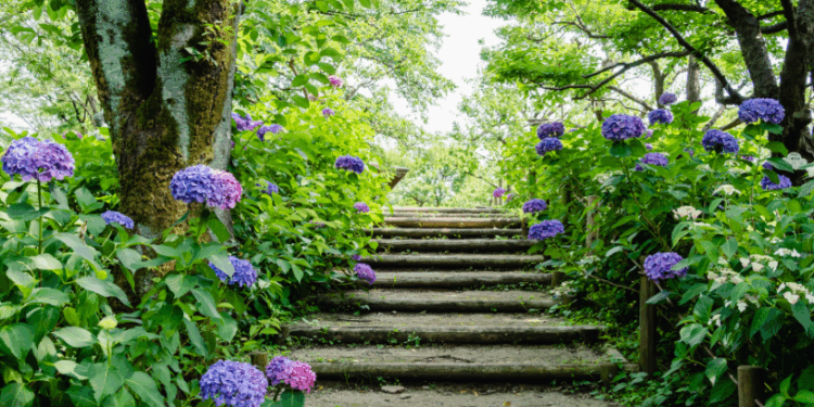 Літо набирає обертів: спекотно, сонячно, але місцями з дощем