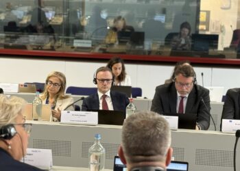 ДПС представила результати реформування податкового адміністрування під час скринінгу Україна – ЄС, – Кравченко (ФОТО)