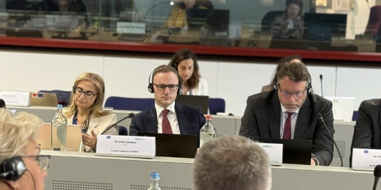 ДПС представила результати реформування податкового адміністрування під час скринінгу Україна – ЄС, – Кравченко (ФОТО)