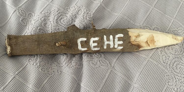 У Миколаєві збирають підписи за відставку мера і хочуть вручити Сєнкевичу осиковий кілок – за плани знести 182 дерева задля будівництва АЗС (ФОТО)