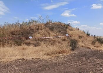 Фахівці ДЕІ перевірили умови зберігання непридатних пестицидів на Миколаївщині – з них насипали курган (ФОТО)
