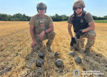 Небезпечна знахідка в полі: на Миколаївщині поліцейські вибухотехніки знищили ворожі суббоєприпаси (ФОТО)