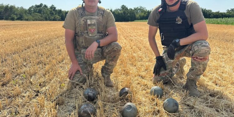 Небезпечна знахідка в полі: на Миколаївщині поліцейські вибухотехніки знищили ворожі суббоєприпаси (ФОТО)