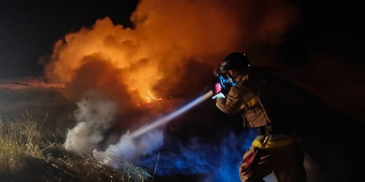 На Миколаївщині гасили 6 пожеж, одна виникла внаслідок обстрілу