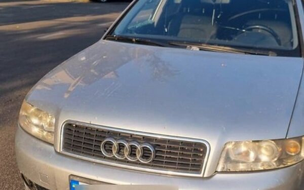 У Миколаєві внаслідок ДТП загинув пішохід