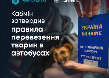 Кабмін затвердив перші в Україні правила перевезення тварин у автобусах