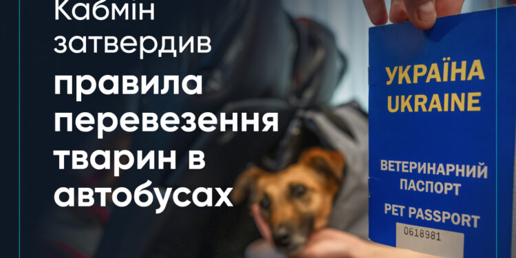 Кабмін затвердив перші в Україні правила перевезення тварин у автобусах