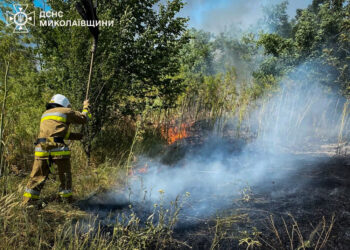 На Миколаївщині з 51-ї пожежі за добу дві було через російські обстріли (ФОТО)