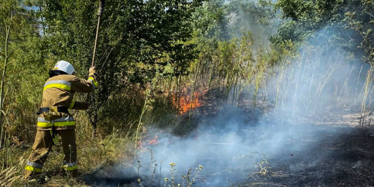 На Миколаївщині з 51-ї пожежі за добу дві було через російські обстріли (ФОТО)