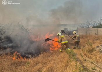 Поблизу Миколаєва масштабна пожежа на відкритій території – вогонь загрожує житлу (ФОТО)