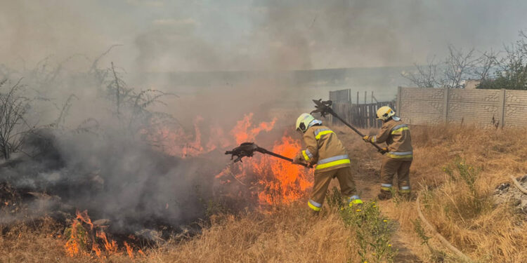 Поблизу Миколаєва масштабна пожежа на відкритій території – вогонь загрожує житлу (ФОТО)