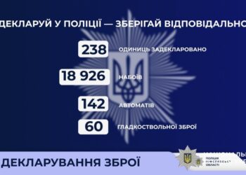 На Миколаївщині громадяни задекларували вже 238 одиниць знайденої чи здобутої зброї та майже 19 тисяч набоїв