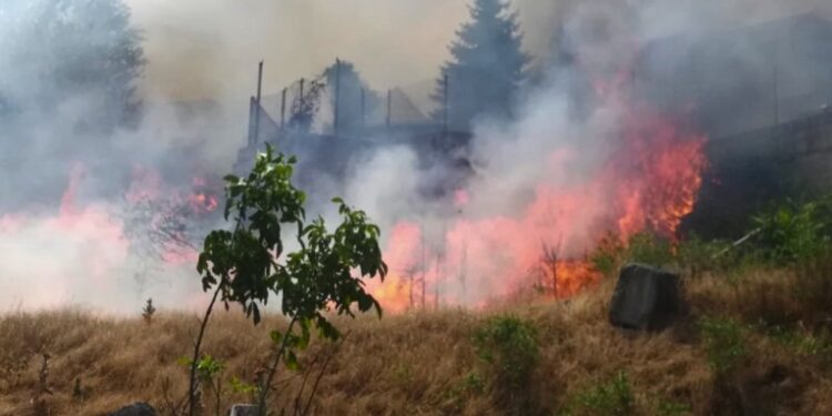Екологи підрахували, скільки тонн діоксиду вуглецю потрапило в повітря тільки внаслідок двох пожеж 9 липня у Миколаєві (ФОТО)