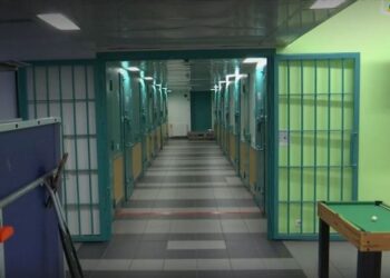 Швеція орендує у Естонії 400 тюремних камер – вони зараз все одно порожні (ВІДЕО)