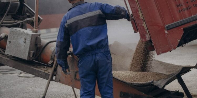 Понад 130 млн тонн вантажів вже перевезено через Український морський коридор (ФОТО)