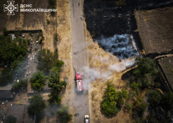 На Миколаївщині вигоріло 23 га пшениці, загалом вогонь пройшов 102 га