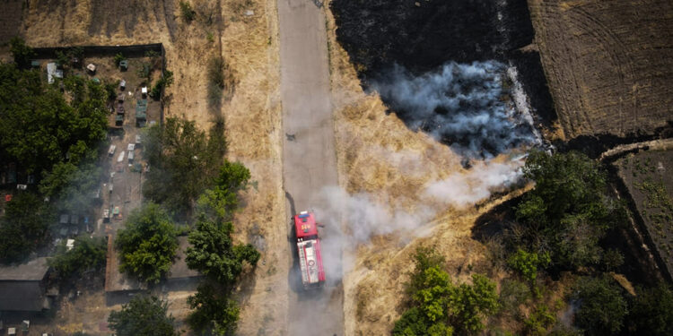 На Миколаївщині вигоріло 23 га пшениці, загалом вогонь пройшов 102 га