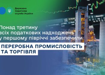 Леся Карнаух: Понад третину податкових надходжень у І півріччі забезпечили переробна промисловість та торгівля