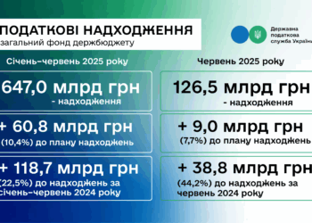 Леся Карнаух: ДПС перевиконала план надходжень за перше півріччя на понад 60,8 млрд грн