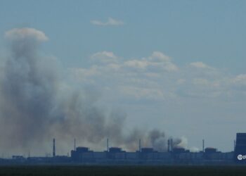 Поблизу Запорізької АЕС – задимлення (ФОТО)