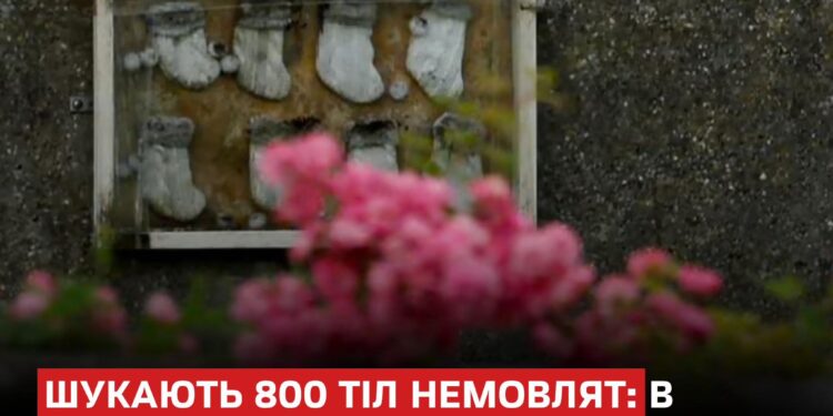 В Ірландії розпочали розкопки на території католицького притулку, щоб знайти 800 тіл немовлят