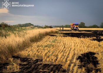 Миколаївщина у вогні – горіли поля, гаражі, будинки