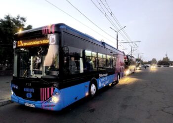 У Миколаєві змінили графік руху тролейбусів в Корабельний район, щоб пасажири київського потягу встигали