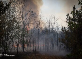 На Миколаївщині масштабну пожежу гасили 7 годин – горів ліс та відкриті території (ФОТО, ВІДЕО)