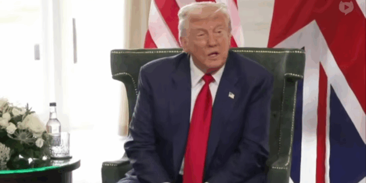 Трамп встановив новий дедлайн для Путіна – 10-12 днів