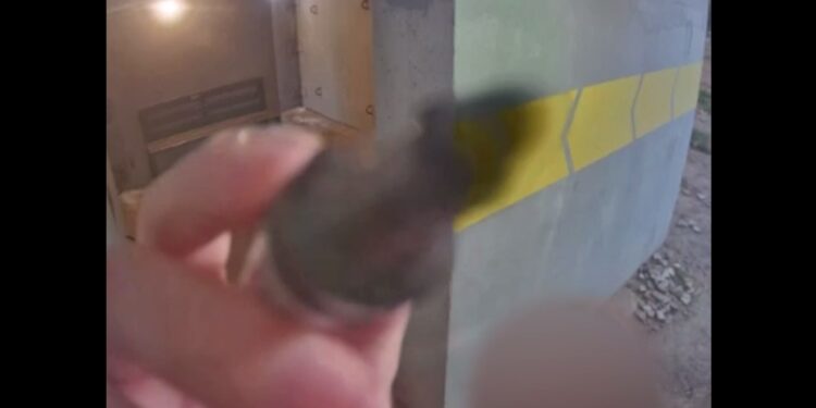 У Миколаєві поліція знайшла і підлітків, які розмалювали об’єктиви відеокамер в укритті, і їх батьків