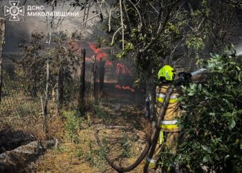 Біля Миколаєва масштабна пожежа – горить 20 га, вогонь дійшов до будинків