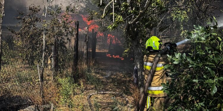 Біля Миколаєва масштабна пожежа – горить 20 га, вогонь дійшов до будинків