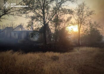 На Миколаївщині горить 40 га – як ліс поблизу Варюшино, так і у населеному пункті