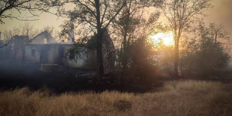 На Миколаївщині горить 40 га – як ліс поблизу Варюшино, так і у населеному пункті