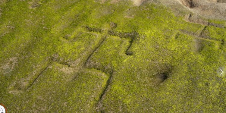 На Гавайях океан відступив і показав старовинні петрогліфи – їм понад тисячу років (ФОТО)